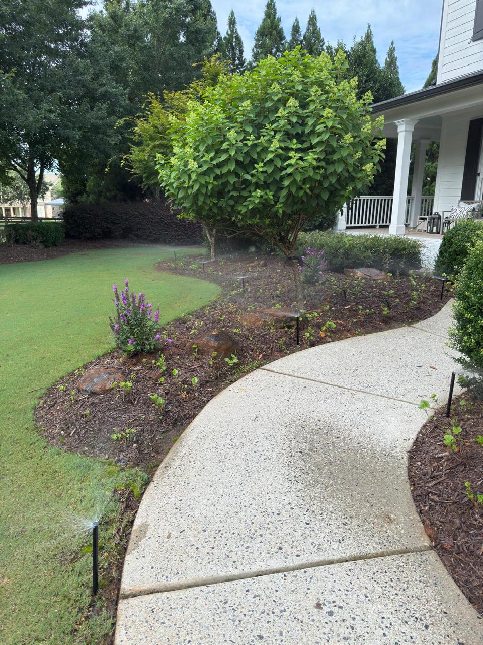 Irrigation for Landscape Beds, Not Just Lawns: Why Your Plants Deserve Their Own Zone